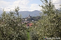 VBS_7288 - PressTour educational dedicato ai vini del Pinerolese e all’olio prodotto sulla collina di Pinerolo